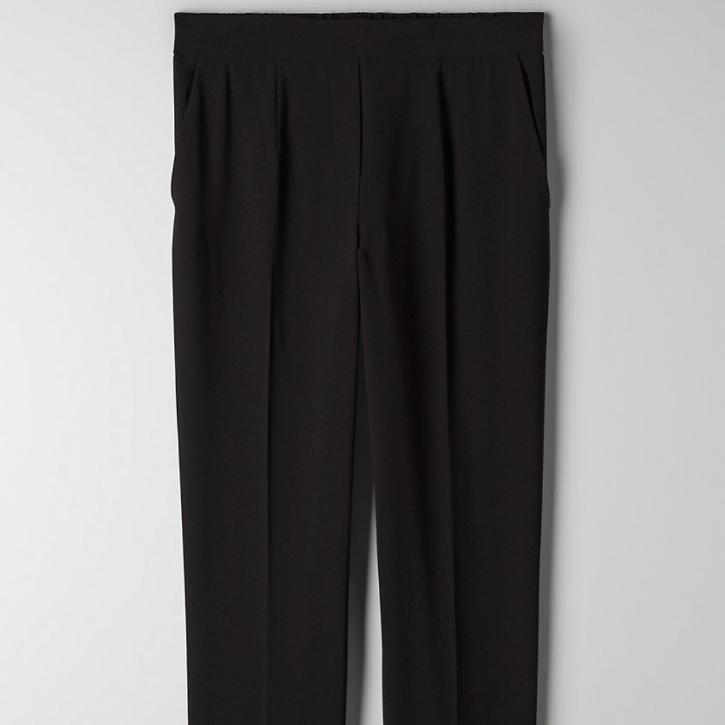 Conan Pants Aritzia